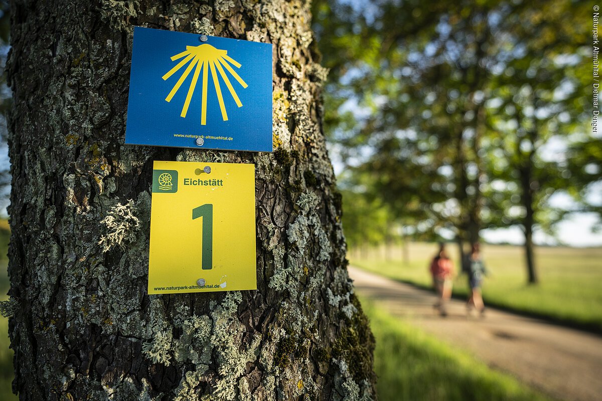 Zwei Wanderer sind am Frauenberg unterwegs. Rechts hängen an einem Baum zwei Wanderwegschilder, die den Weg weisen.