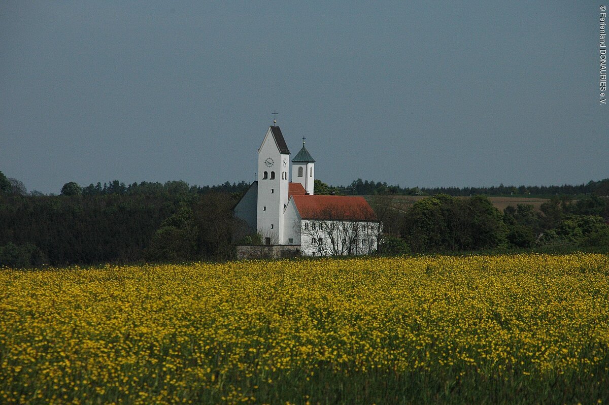 Blick auf die hinter einem blühenden Rapsfeld liegende Pfarrkirche St. Ottilia mit ihren zwei Türmen.