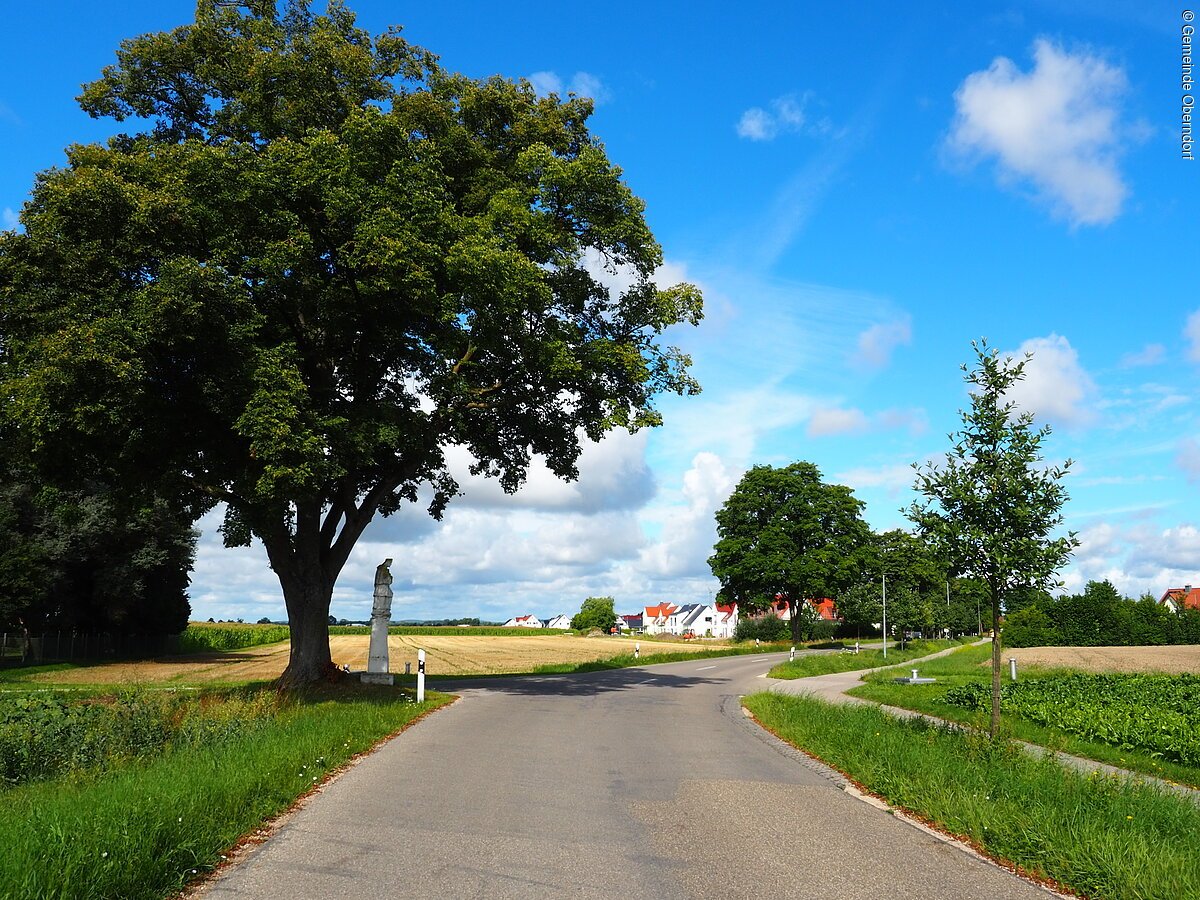 Straße die aus der Gemeinde Oberndorf in den Ortsteil Egelstetten führt; dazwischen liegt Feld