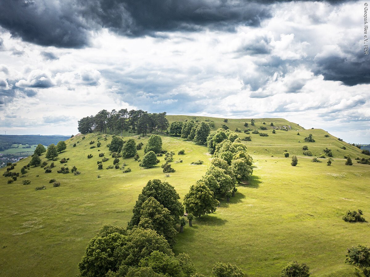 Hügelige Landschaft mit grünen Wiesen, vereinzelten Bäumen und bewölktem Himmel.