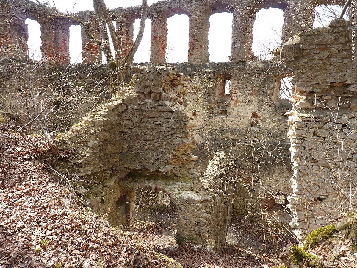Innenansicht Ruine Hochhaus Ein Blick ins Innere der im Wald liegenden, eingewachsenen Ruine Hochhaus