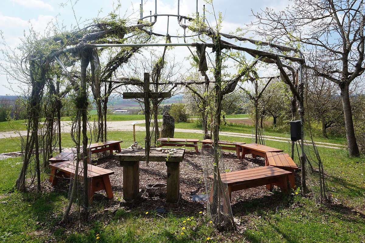 Weidenkapelle am Urlas, Schopflohe Blick auf die im Sonnenschein liegende, austreibende Weidenkapelle.