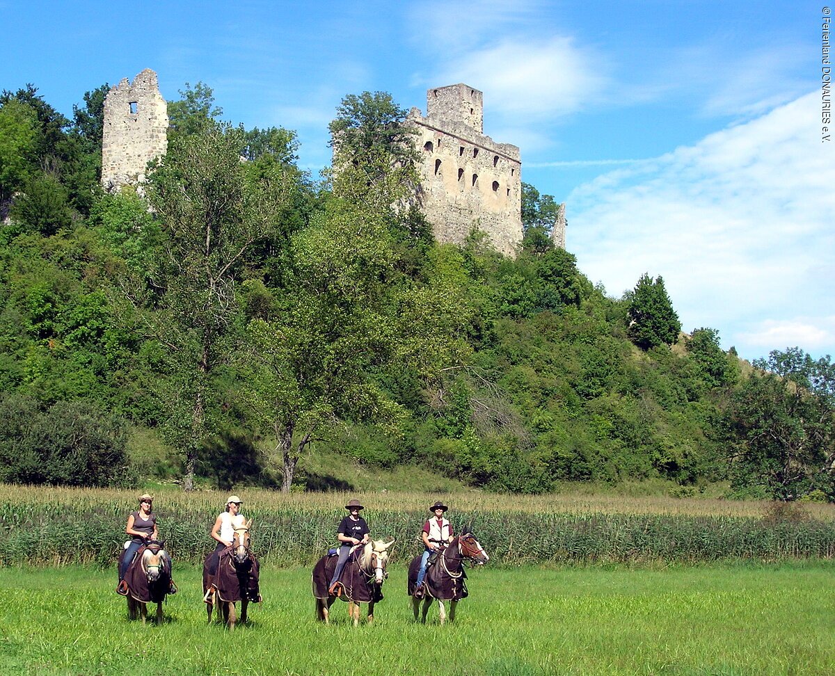 Vier Wanderreiter auf einer Wiese unterhalb der, von Bäumen umgebenen, Ruine Niederhaus