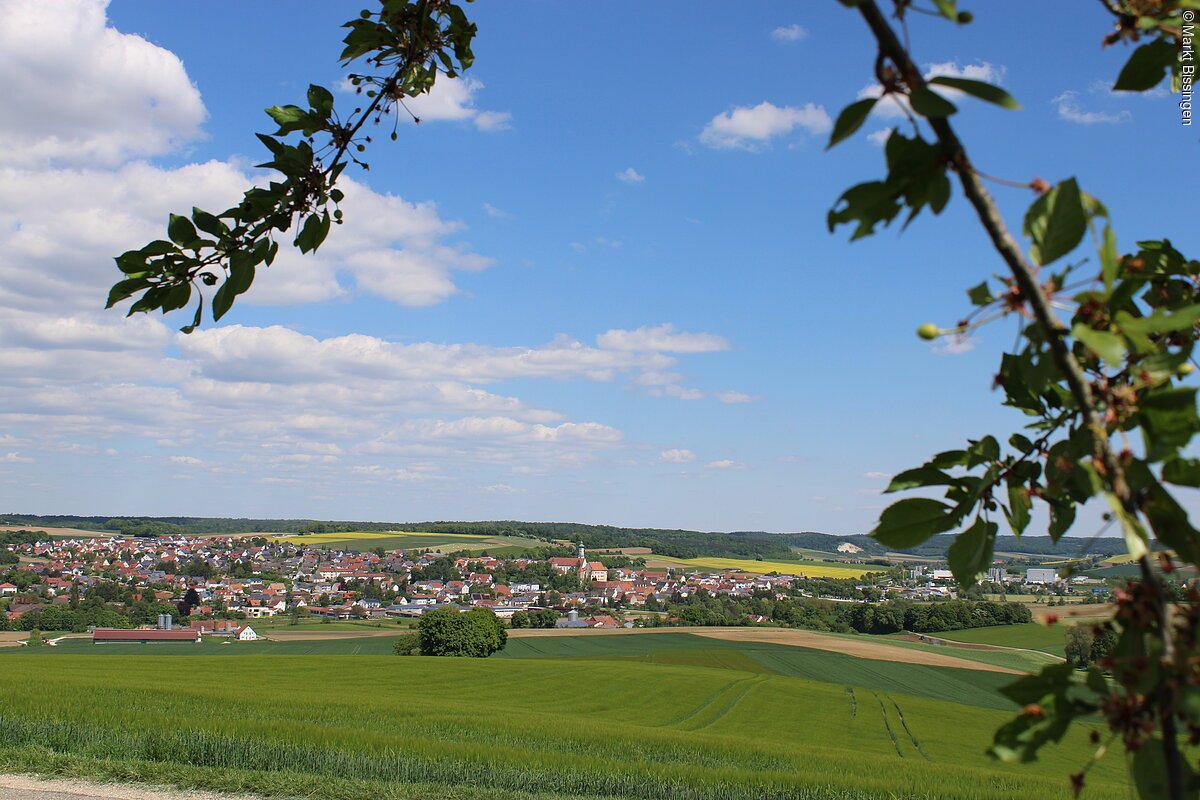 In der Ferne ist der Markt Bissingen erkennbar