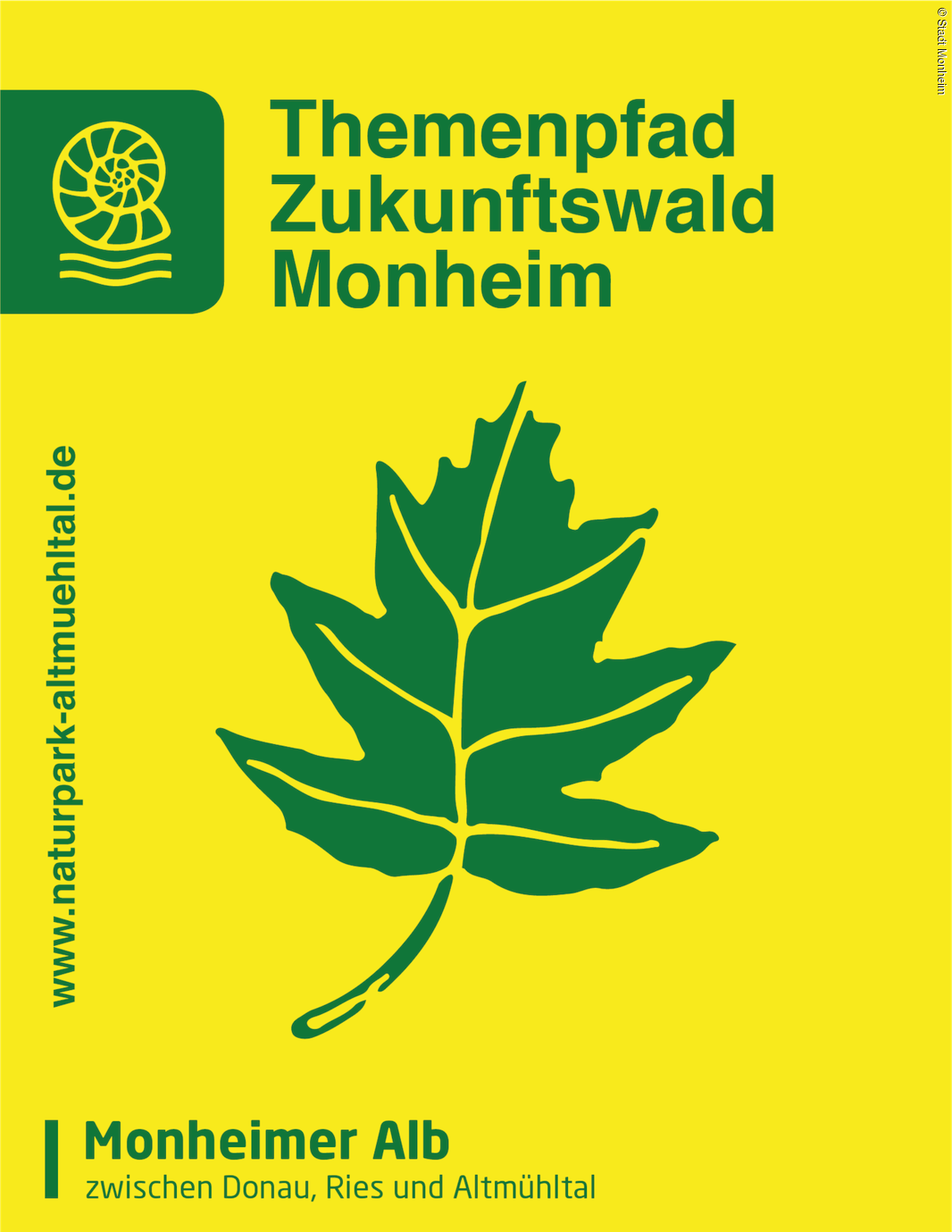 Schild Themenpfad Zukunftswald Monheim Gelbes Schild zum Themenpfad Zukunftswald in Monheim mit gleichnamigen Schriftzug, mit grünem Blatt in der Mitte auf gelbem Hintergrund und einer Webadresse www.naturpark-altmuehltal.de, vertikal links. Neben dem Schriftzug eine Abbildung eines Schneckenfossils.