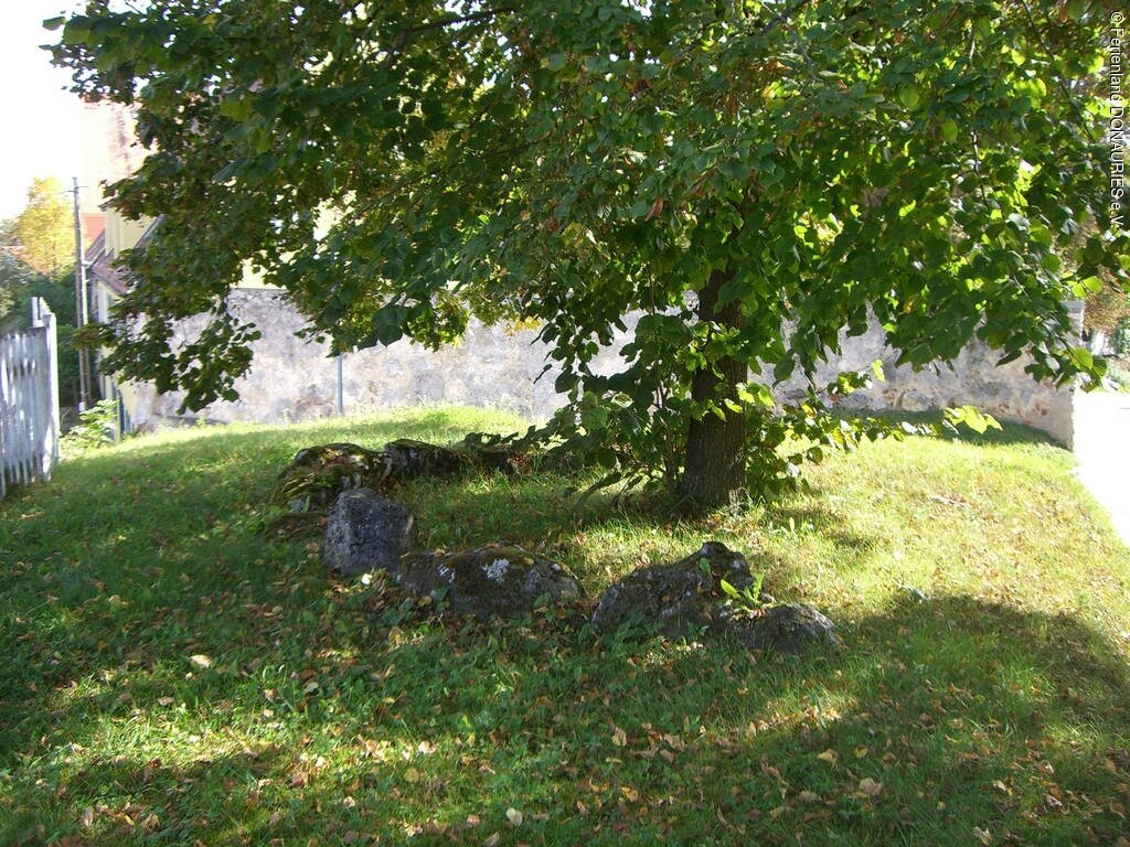 Die Steine, welche Reste der ehemaligen Ratssitze darstellen, sind kreisförmig um einen Baum angeordnet.