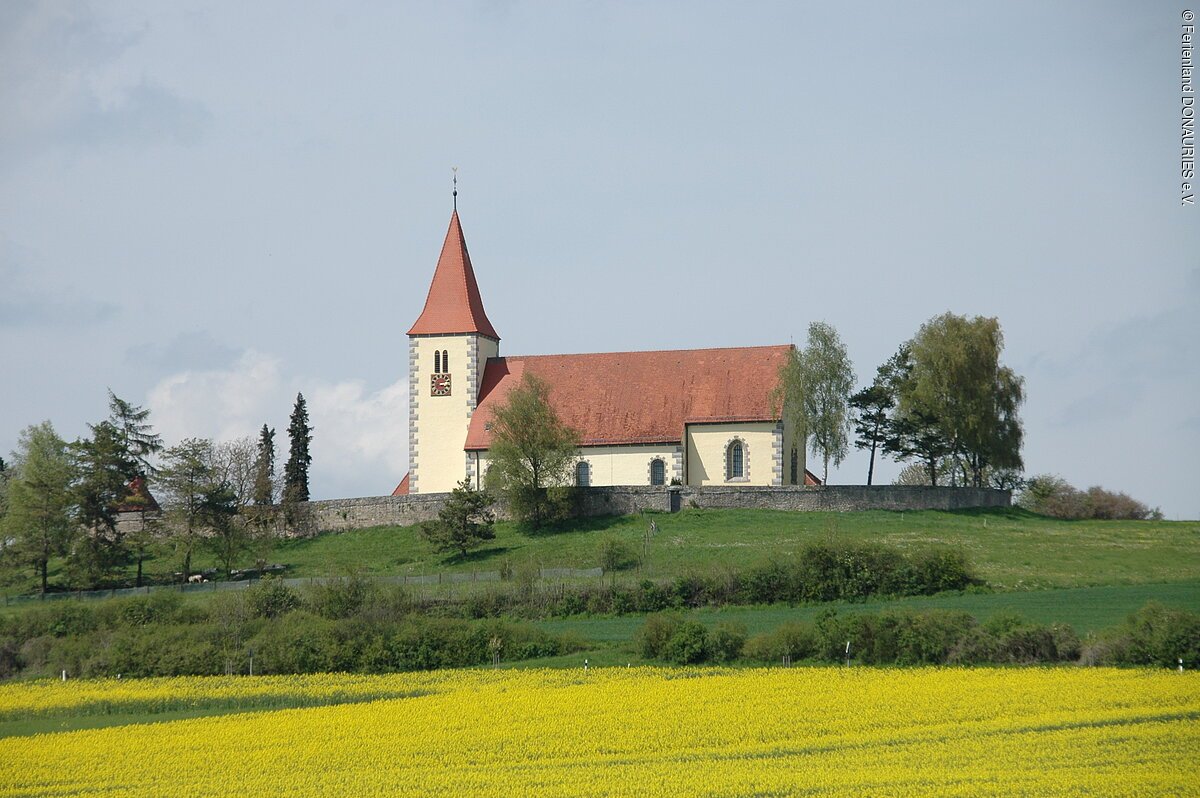 Simultankirche in Ehingen am Ries Blick über gelb blühende Felder und Wiesen auf die erhöht liegende Kirche