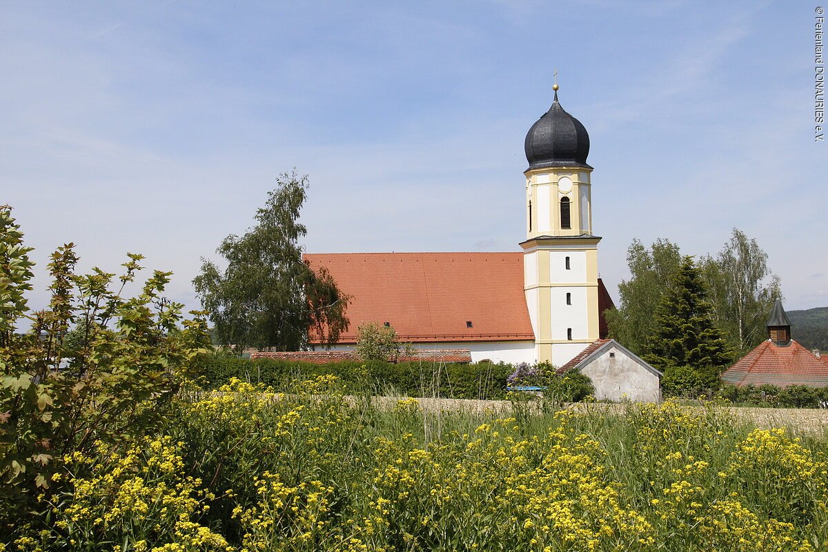 Blick auf die Pfarrkirche St. Martin mit ihrem Zwiebelturm. Im Vordergrund eine blühende Wiese.