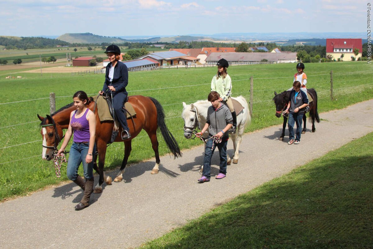Drei Pferde mit Reiter unterwegs auf einem Reitspaziergang. Dabei werden die Pferde von jemanden geführt.