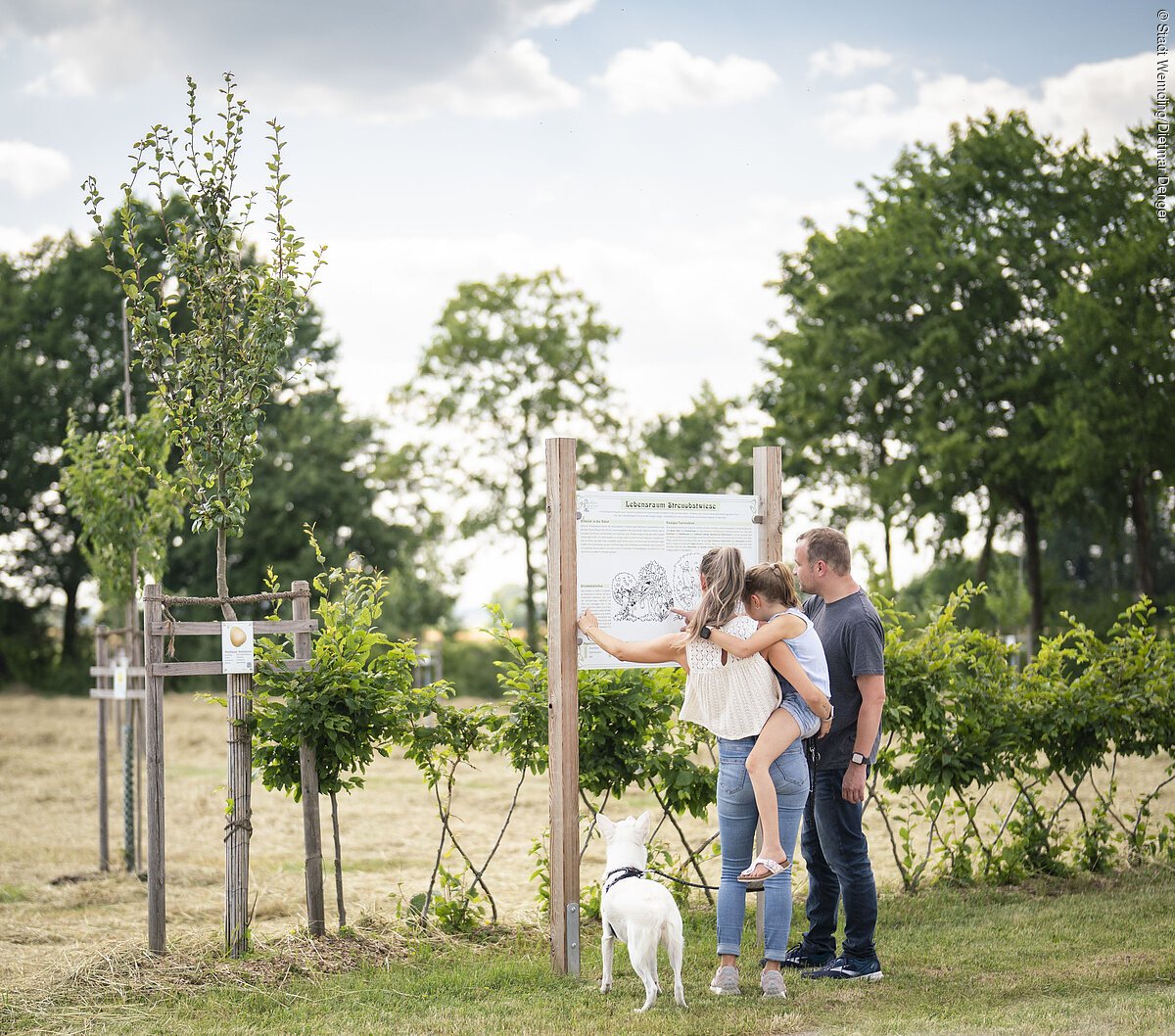 Besuch im Obstlehrgarten Eine Familie steht an einer Informationstafel im botanischen Obstlehrgarten.