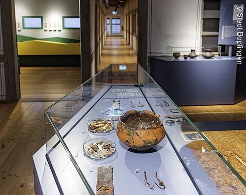 Blick in eine Vitrine mit einem Tongefäß im Ipf-Museum Vitrine mit archäologischen Fundstücken wie Keramik und Knochen in einem Museum mit Holzboden und langen Flur.