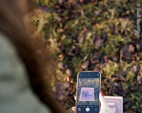 Abscannen eines QR-Codes zum digitalen Rundgang am Ipf Person fotografiert mit Smartphone eine Tafel mit Text und QR-Code auf Grasboden im Freien.
